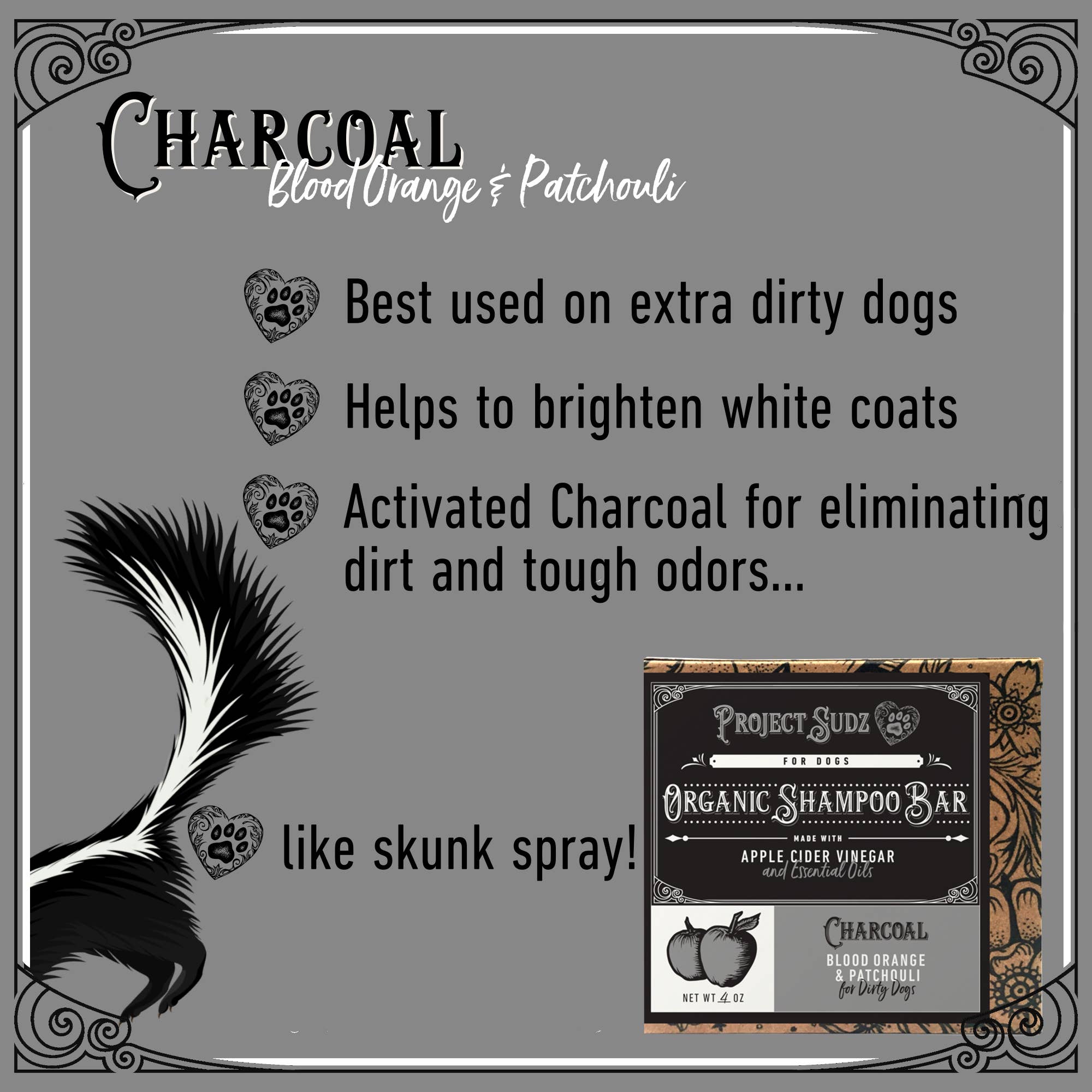 Charcoal Shampoo Bar | Project Sudz